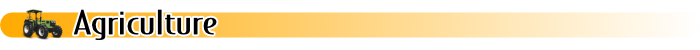 Online Databases - Agriculture