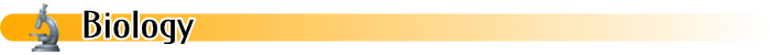 Online Databases - Biology