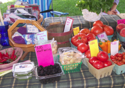 Farmers Market