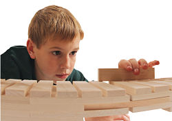Building Masters