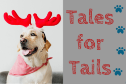 Dog wearing reindeer ears with text "Tales for Tails"