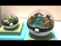 ter