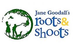 root
