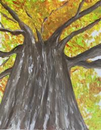 tree