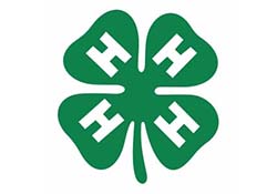 4H