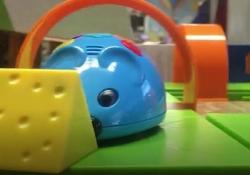 Colby the Robot Mouse