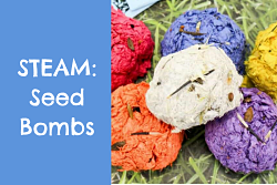 Seed Bombs