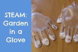 Clear gloves with cotton balls and seeds in each finger