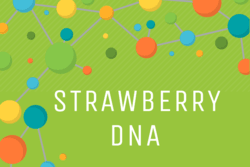 "Strawberry DNA" text with molecular background