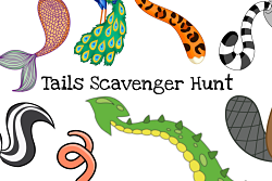 Animal Tails
