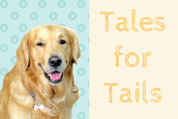"Tales for Tails" text with image of happy dog