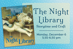 The Night Library