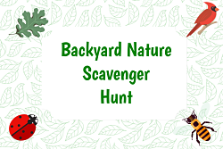 Backyard scavenger hunt