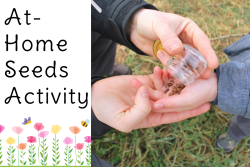 Child's hand holding seeds to plant