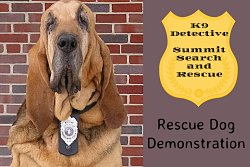 bloodhound with detective badge