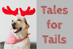 "Tales for Tails" text with image of dog wearing reindeer antlers