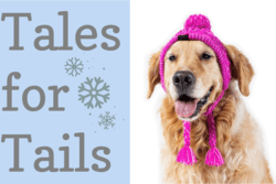 "Tales for Tails" text with dog wearing a winter hat