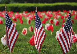 American Flags