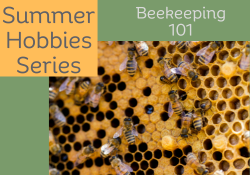 beekeeping