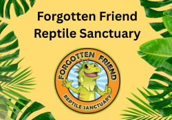 Forgotten Friend Reptile Sanctuary