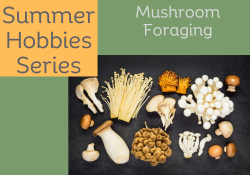mushrooms