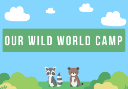 Our Wild World Camp