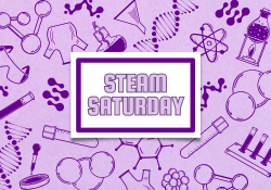 steam saturdays