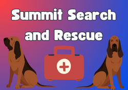Summit Search and Rescue- Two Bloodhounds are pictured.
