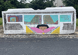 Cecilia Coronado: Barrier 5