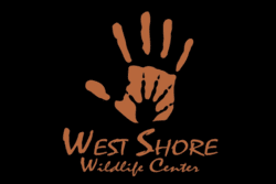 Black background with logo of human hand behind animal hand and "West Shore Wildlife" text